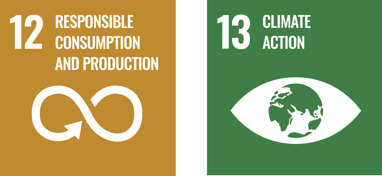 SDG 12 & 13